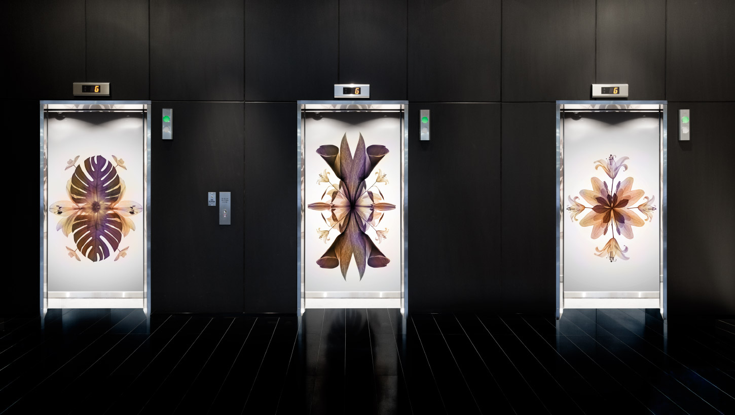 the guilfoyle elevator doors with flower design